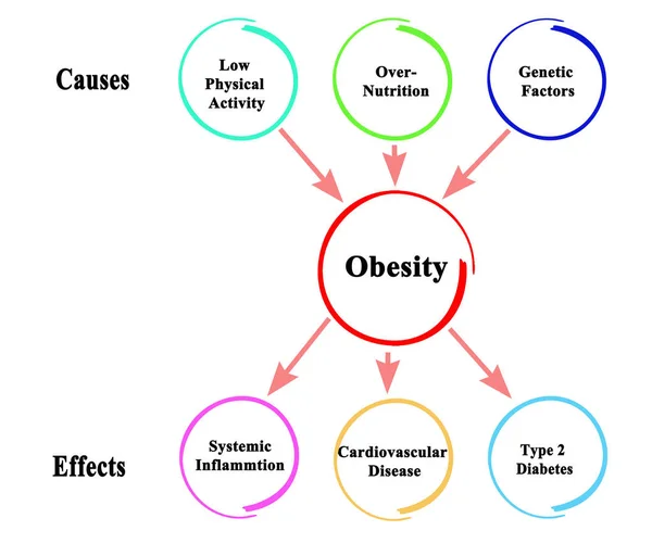 Причини й наслідки ожиріння — стокове фото